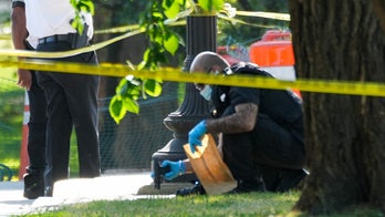 Man allegedly opens fire on Secret Service near White House as child injured in chaos