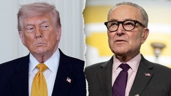 Trump accuses Schumer of trying to 'interfere in our elections' with latest strategy