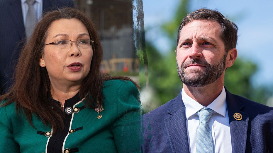 Democrats condemn DNC for politicizing fallen soldiers in deleted Memorial Day post
