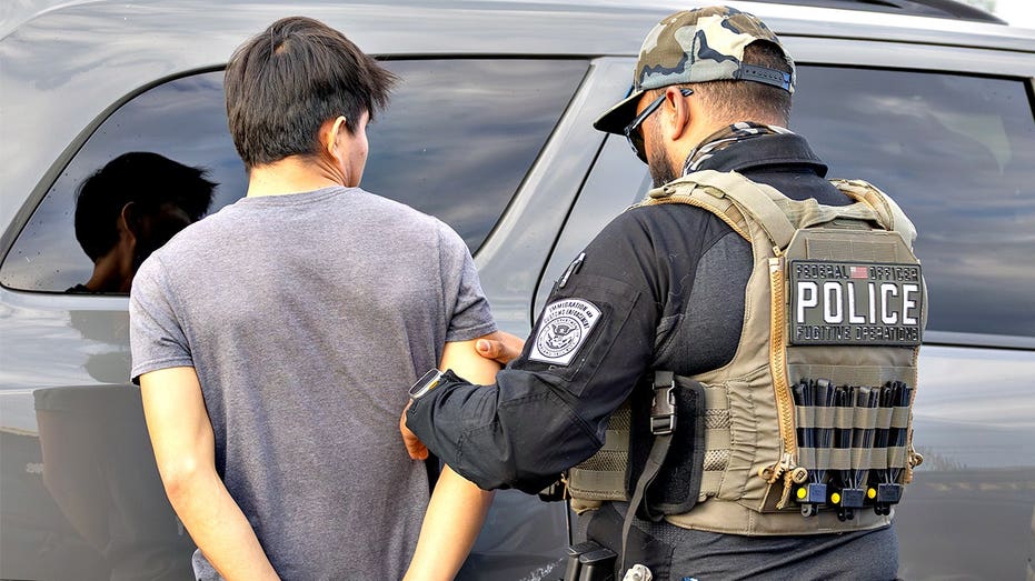 ‘Ghosts’ on Florida highways: Roadside stings snare 249 illegal immigrants, officers warn many more hiding