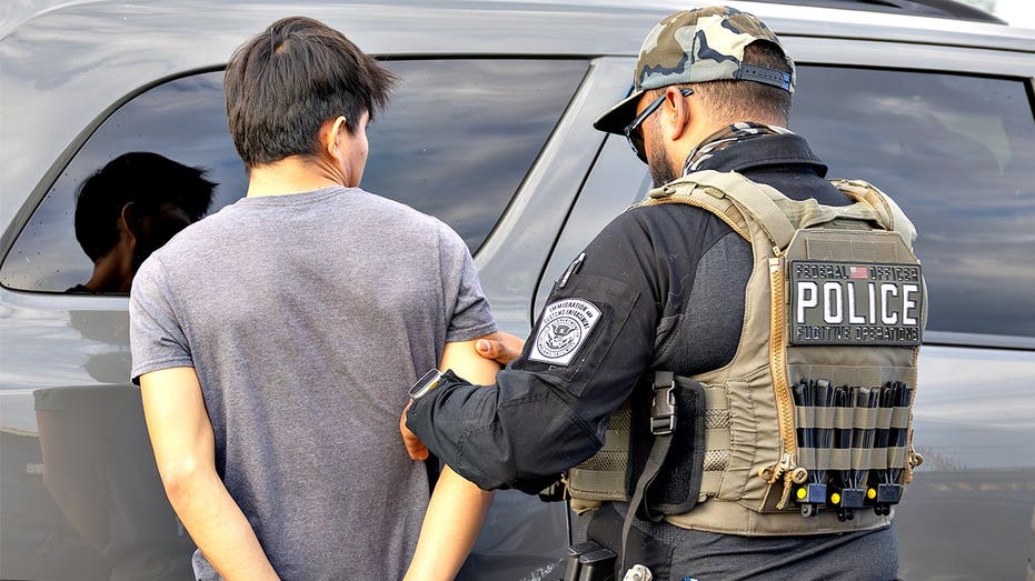 ‘Ghosts’ on Florida highways: Roadside sting snares 249 illegal immigrants, officers warn many more hiding