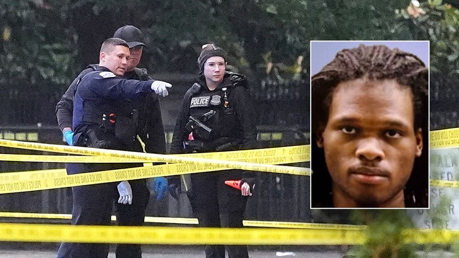 White House gunman had criminal record, history of mental health issues