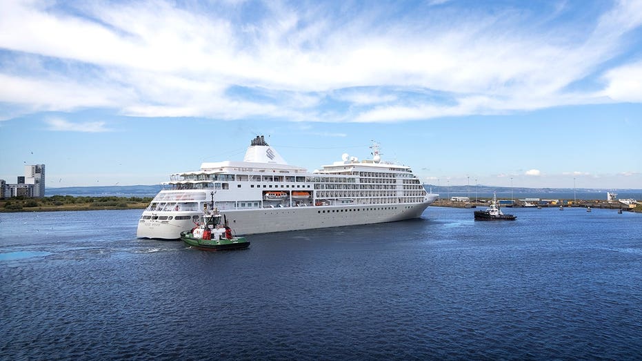 Cruise ship battles rough Pacific seas to save injured, stranded sailor