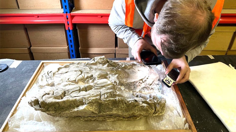 Traces of rare purple dye mentioned in Bible passages found in 'remarkable' discovery