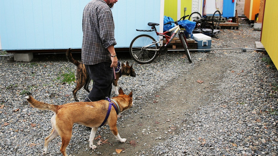 Seattle dog owners warned about pets overdosing in viral flyers