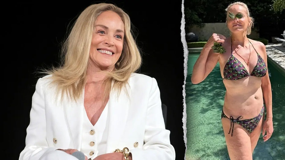 Sharon Stone stuns fans with poolside bikini photo proving she's 'still got it' ahead of summer