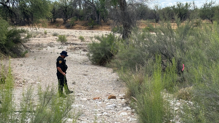 Skeleton unearthed near Nancy Guthrie search site believed to be up to 1,000 years old, expert says