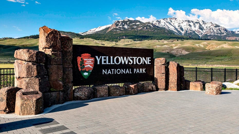 Bear attack in Yellowstone National Park leaves 2 hikers injured