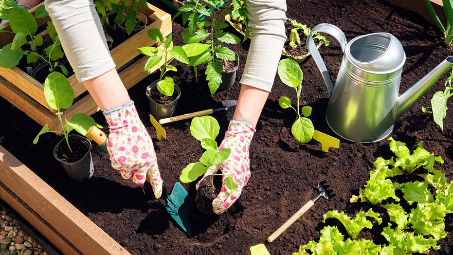 Wayfair's Outdoor Event is live: Save up to 77% on gardening deals for a limited time