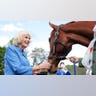 queen-camilla-horse.jpg