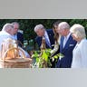 beehives-royals.jpg