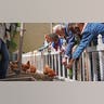 king-charles-chickens.jpg
