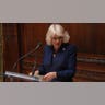 queen-camilla-library.jpg