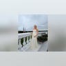 tiffany-trump-state-blurry.jpg