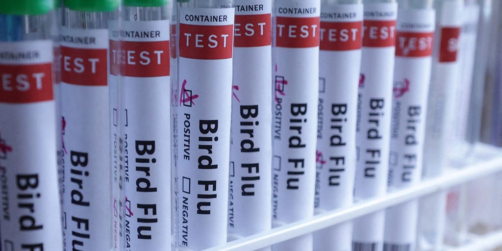 Bird flu confirmed in Australia for the first time, meaning virus has now reached every continent