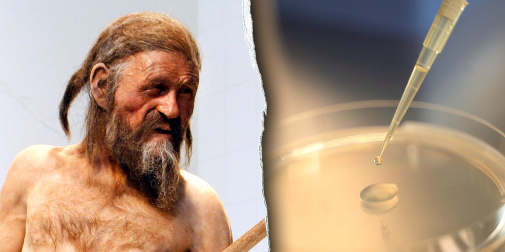 Ötzi the Iceman still harbors living microbes more than 5,300