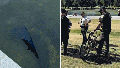 Former Olympian among those charged with vandalizing Reflecting Pool; Trump says basin must be drained: report - Fox News
