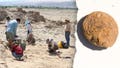 Unos arqueólogos descubren patatas liofilizadas más antiguas que los Estados Unidos y en «excelente» estado - Fox News