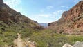 Multiple hikers dead amid scorching Grand Canyon temperatures - Fox News