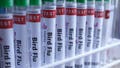 H5N1 bird flu confirmed in Australia for the first time, meaning virus has now reached every continent - Fox News