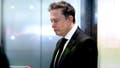 Elon Musk sent Gad Saad a cryptic late night text that led to a secret canyon rendezvous - Fox News