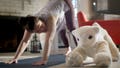 Robot pets with AI could soon live with you - Fox News