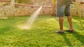 You're not getting away with watering your grass with your 'crank' out on Sheriff Grady Judd's watch - Fox News
