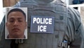 DHS puts 'sanctuary politicians' on notice after alleged park predator was released under Biden - Fox News