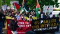I&rsquo;m an Arab Muslim &mdash; I still don&rsquo;t understand the antisemitic BDS movement - Fox News