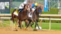 Belmont Stakes 2026 at Saratoga Race Course: Best bets, exotics, 'Pick 5' for the Grade 1 stakes races - Fox News