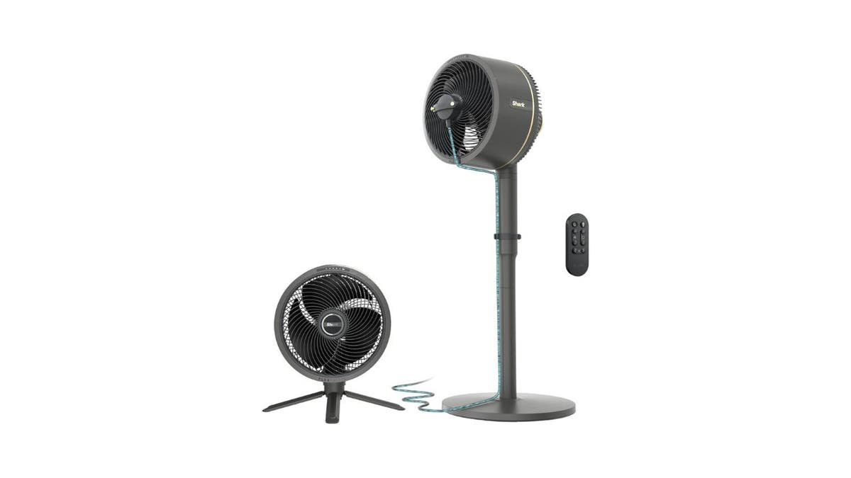 Stay cool this summer with Shark's indoor-outdoor oscillating fan.