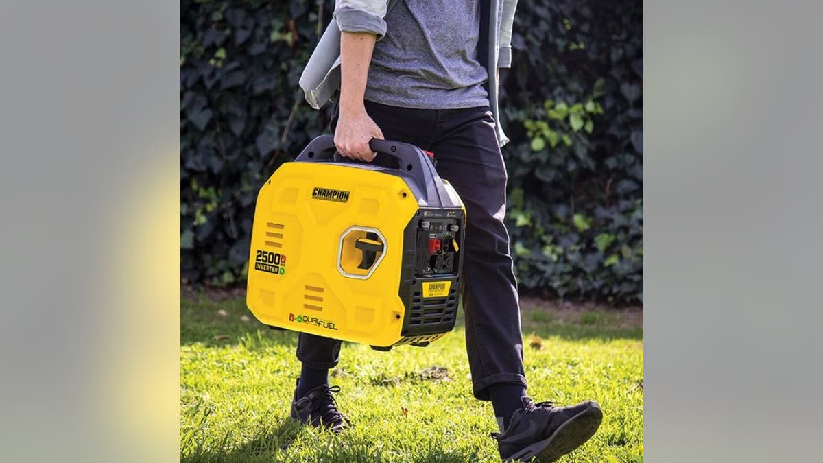 Use either gas or propane with this generator.