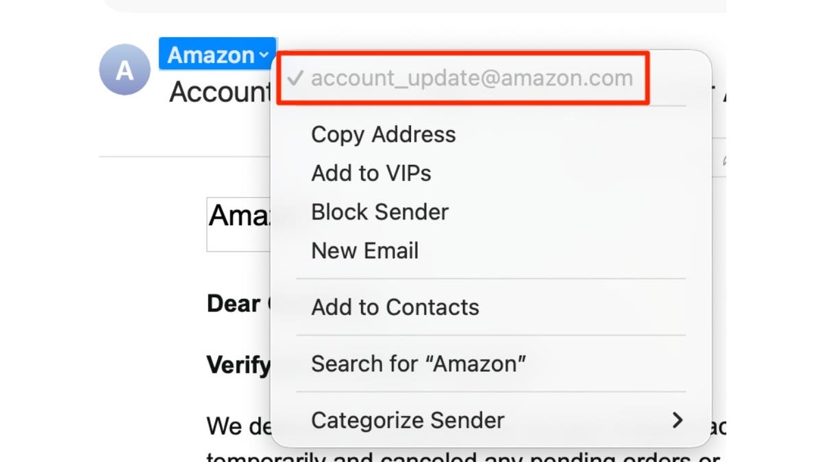 Screenshot of fake Amazon email sender address