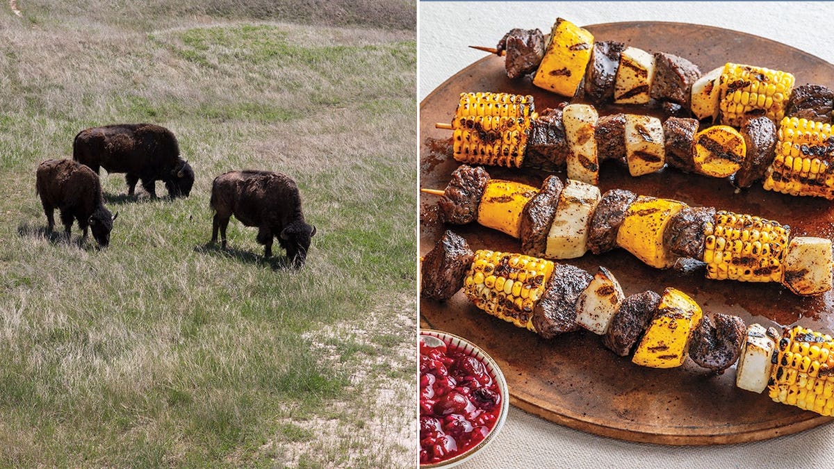 Three bison roam at Badlands National Park, left, and Grilled Bison Skewers, right.