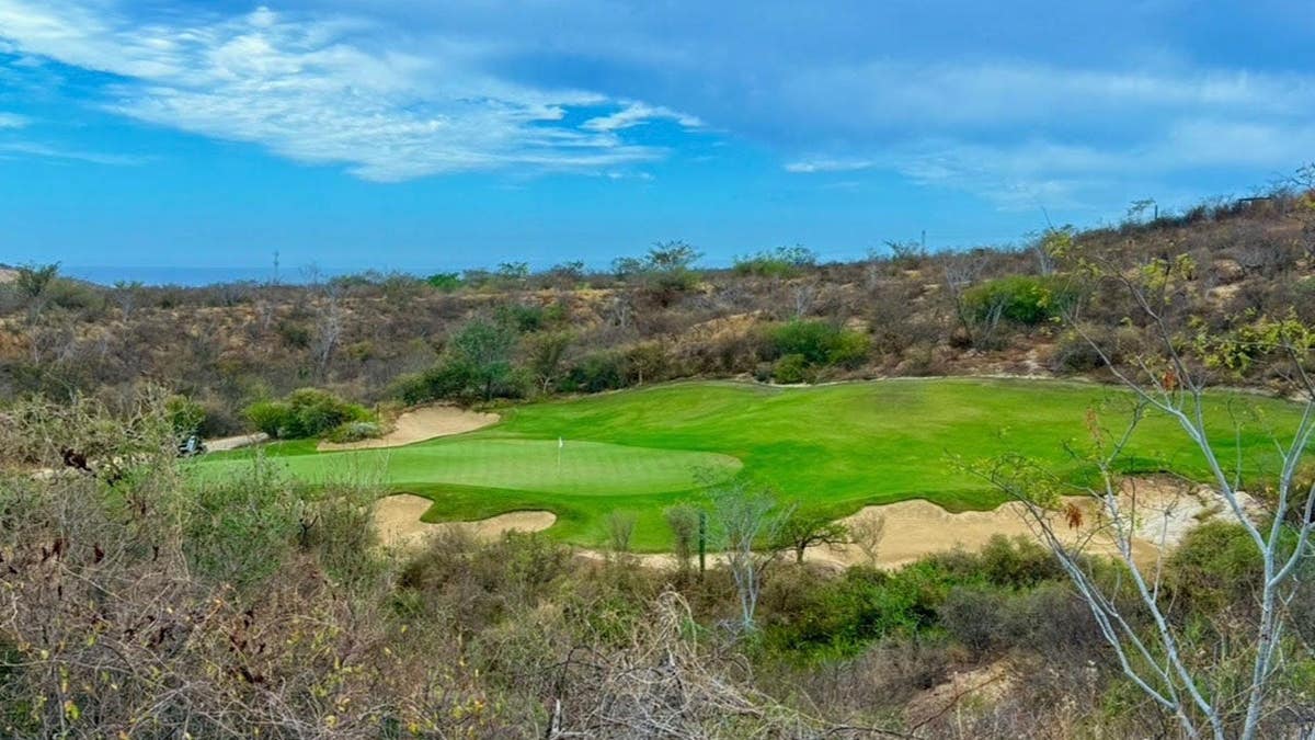 A view of the green complexes and fairways at Twin Dolphin golf course in Cabo.