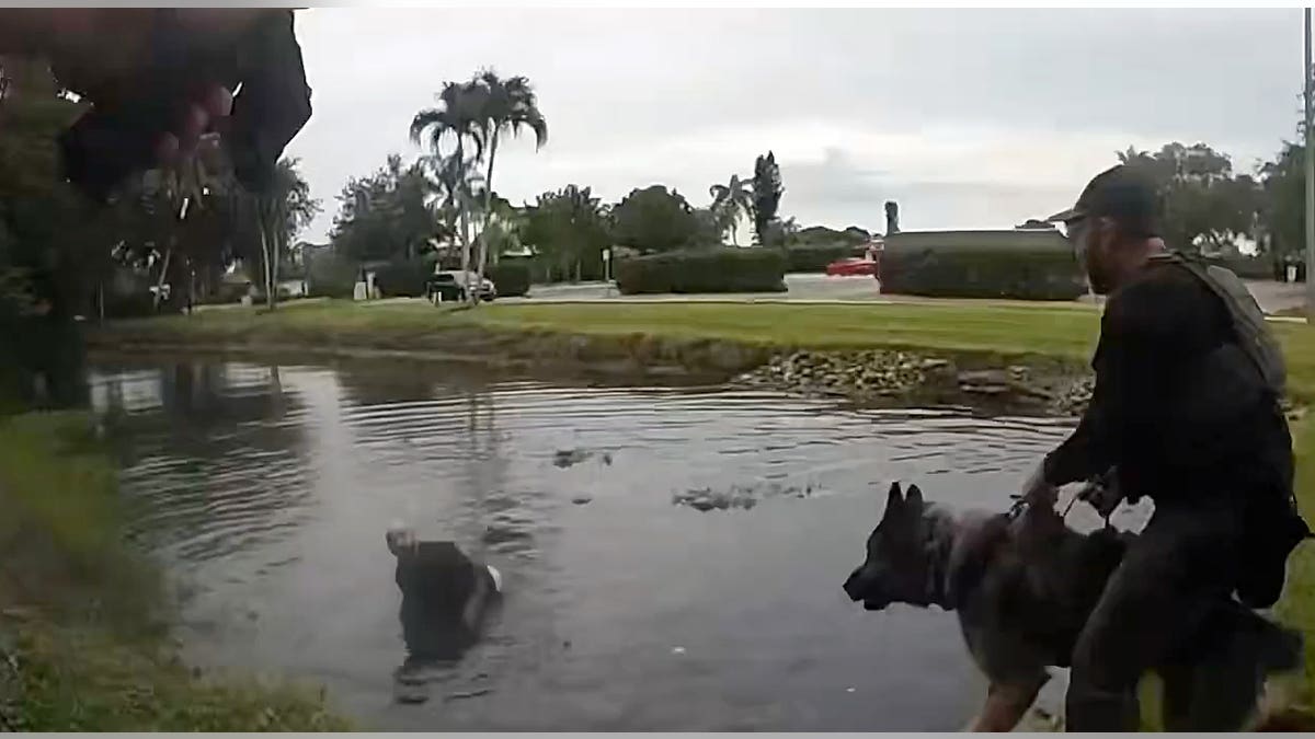 Un adiestrador de perros policía y su perro registran las inmediaciones de una masa de agua durante una operación para localizar a un sospechoso que se ha dado a la fuga.