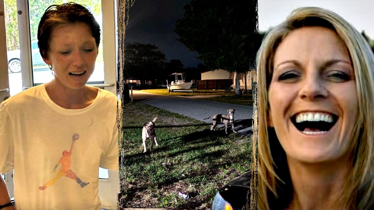 Florida woman's dogs allegedly mauled neighbor