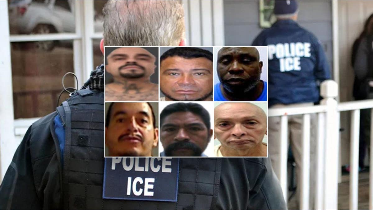 mugshots of illegal immigrants