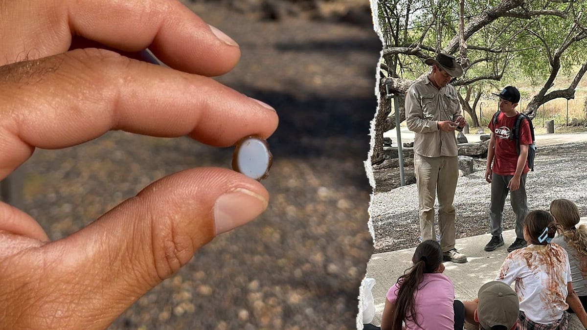 Split image of hand holding stone, Horowitz standing with official