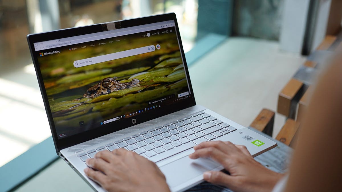 Woman typing on her laptop.