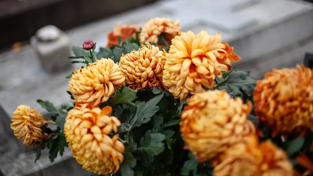 Flowers resting on a grave.