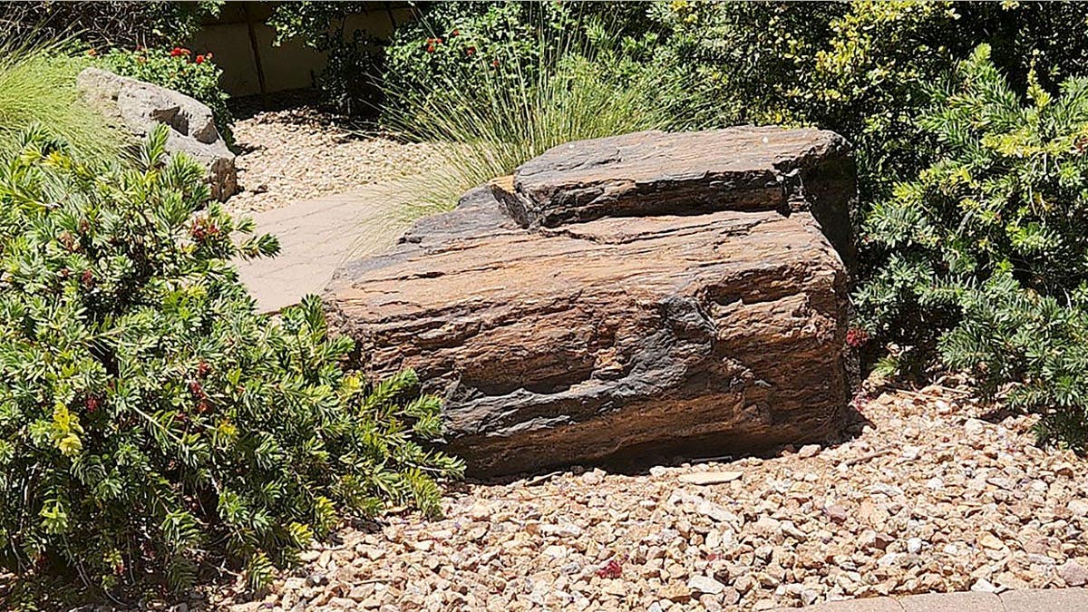 O leitor de screencaps X-Canuk mostra uma pedra enorme que comprou para seu jardim