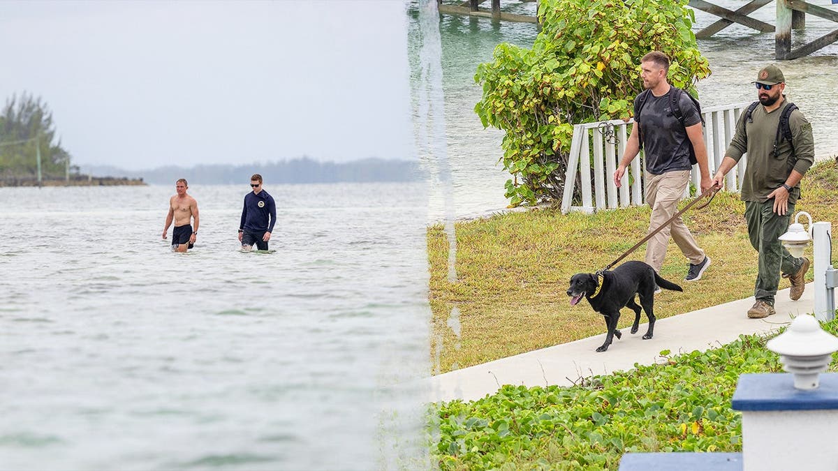split image shows two divers standing in knee-deep water on left and shows a black cadaver dog with two investigators on the right