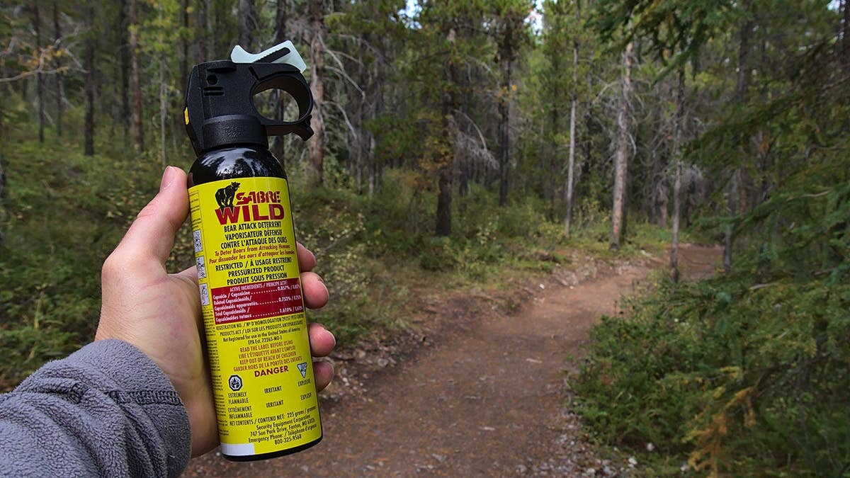 Hiker holding Sabre Wild bear spray can in forest near Canmore Alberta