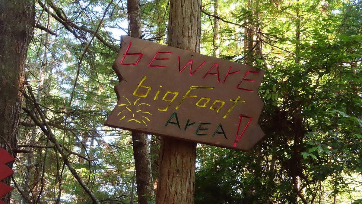 Sign warning about Bigfoot in a forest setting