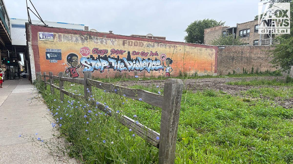 mural chicago south side