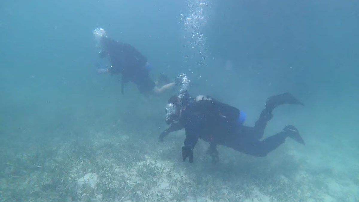 Coast Guard divers search for Lynette Hooker in Bahamas