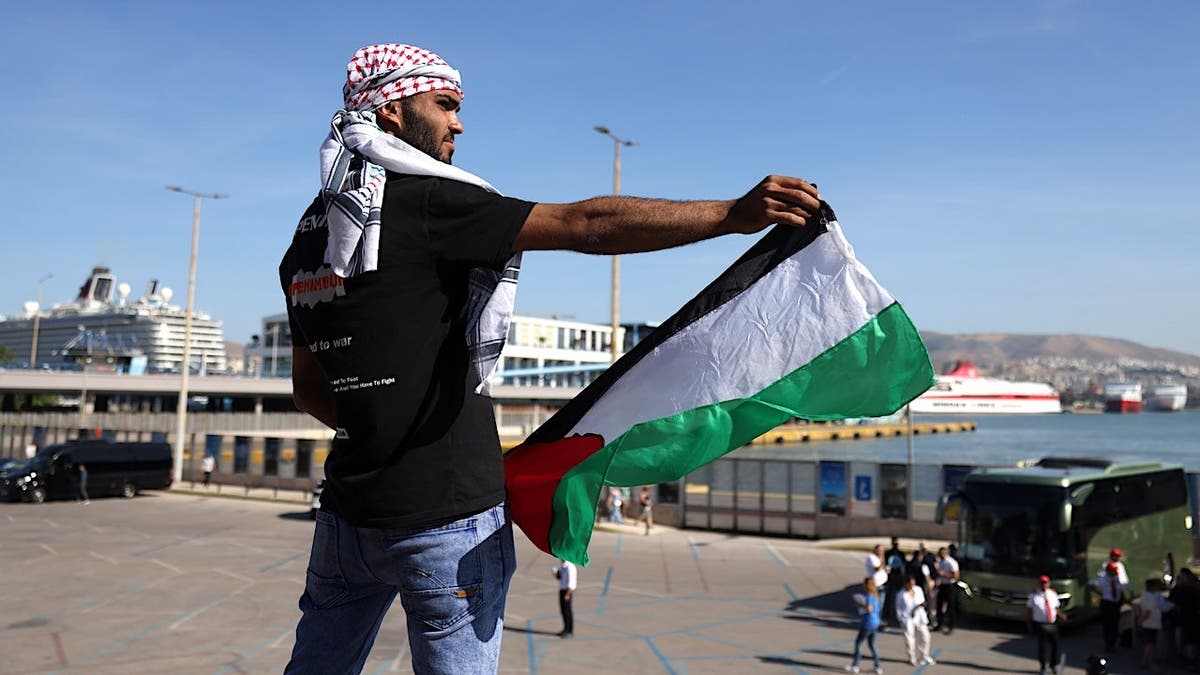 A protester waves a Palestinian flag against the arrival of the Crown Iris cruise ship at the port of Piraeus