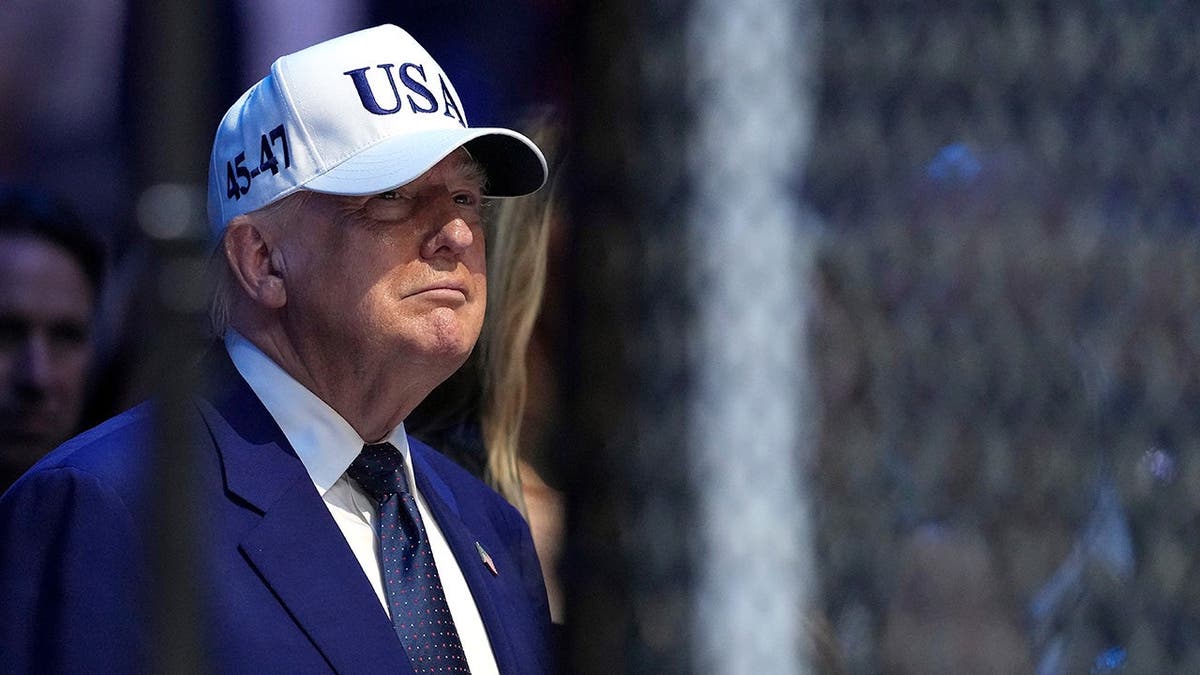 President Donald Trump watching UFC Freedom 250 event on the South Lawn of the White House