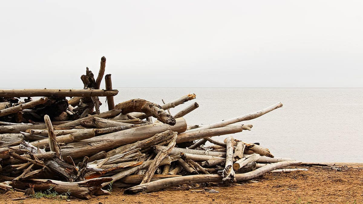 Piles of driftwood resting on the shore of a foggy lake.